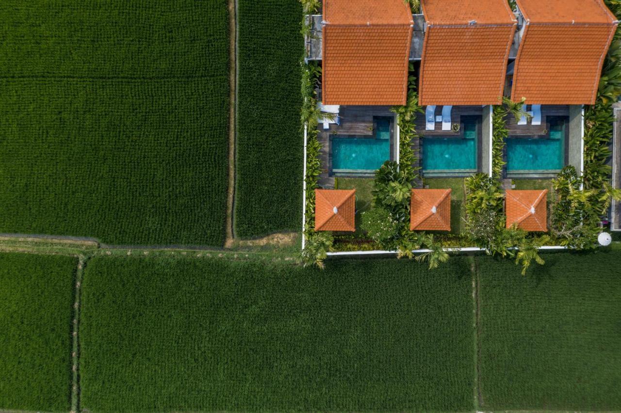Sawah Villas อูบุด ภายนอก รูปภาพ